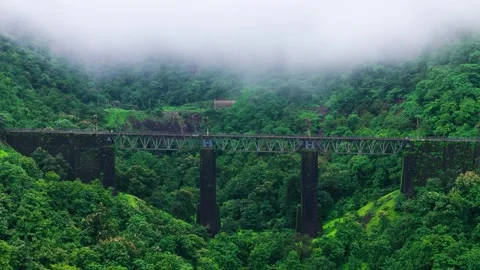 Aerial View of an Old Railway Bridge Hidden in a Lush Green Jungle in Monsoon Stock-Footage 342701971