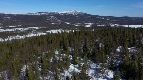 Aerial view of an old spruce forest in the Swedish mountains Stock Footage 107082887