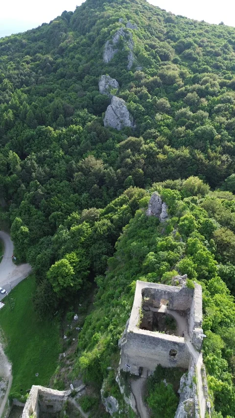 Aerial View of Old Town Surrounded by Forest and Nature 動画素材 337023511