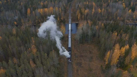 Aerial view old train in the forest Stock Footage 126577655