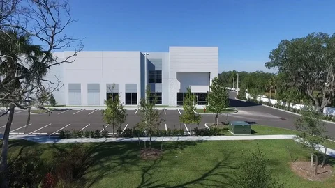 Aerial view of an old tree Video stock 97229625