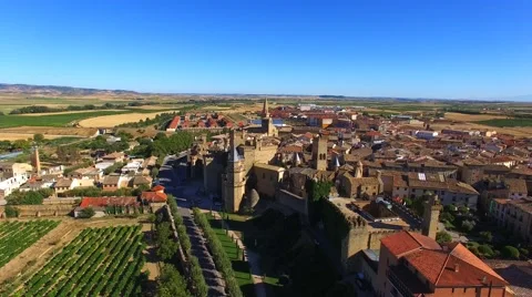 Aerial view of Olite, Spain Stock Footage 66763913
