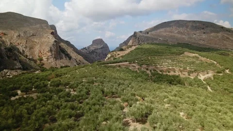 Aerial view of an olive tree grove and a rocky gorge on the south coast of Crete 스톡 동영상 345495422