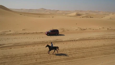 Horse Footprint Stock Video Footage | Royalty Free Horse Footprint ...