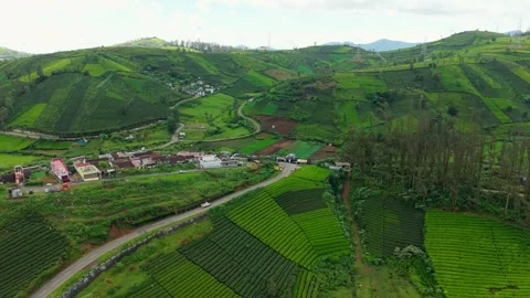 Aerial View of Ooty Nilgiris Tea Plantations and Mountain Village Video stock 318587441