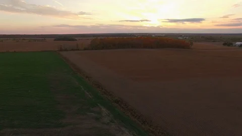 Aerial view of open corn fields with golden brown tones as drone moves Vidéo 96696954