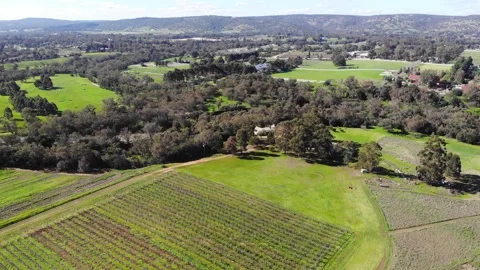 Aerial View of an Open Field Stock Footage