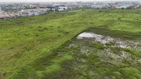 Aerial View of Open Field, Marsh, and City Horizon Vídeo Stock 347282490