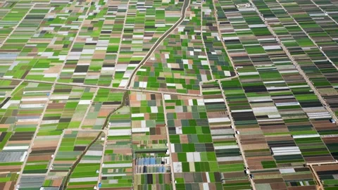 Aerial View of an Open-Field Vegetable Farm Video stock 330278262