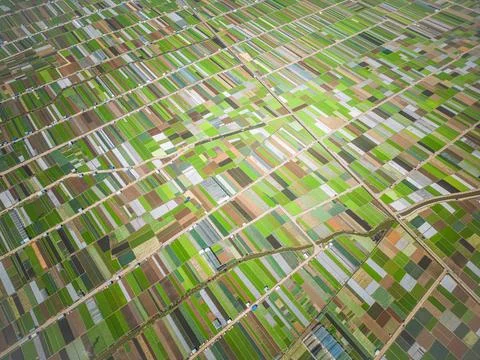 Aerial View of an Open-Field Vegetable Farm Stock Photos