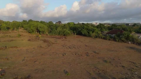 Aerial View of Open Land and Villas Among Trees, Bali Video stock 337607463