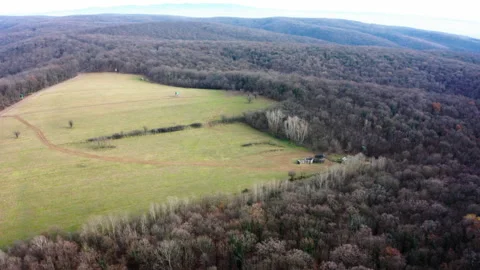 Aerial View of Open Meadow Surrounded by Forest in Late Autumn Stockbeeldmateriaal 324555041