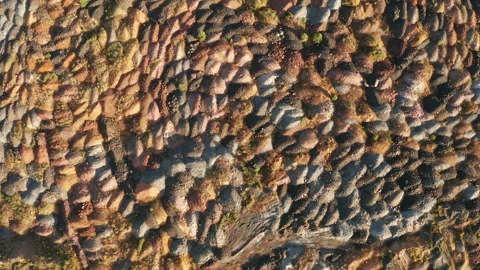 Aerial view of an open pit of iron ore. Resource mining Stock Footage 162586458