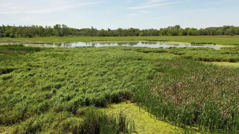 Aerial view of open water marsh and recreational trail through it Video stock 132861583