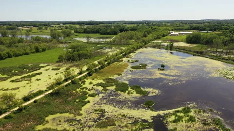 Aerial view of open water marsh and recreational trail through it Stock Footage 132862389