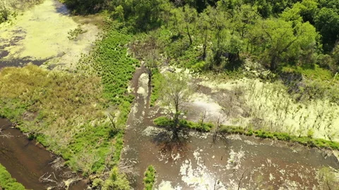 Aerial view of open water marsh and recreational trail through it 库存影片 132867062