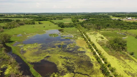 Aerial view of open water marsh and recreational trail through it Stock Footage 133079986