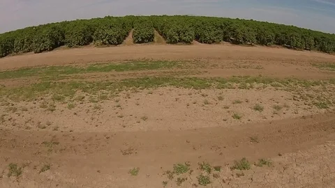 Aerial view of a orange field Stock Footage 82589910