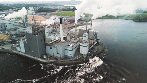 Aerial view orbiting around the Irving Pulp And Paper mill Vídeos de archivo 333976471