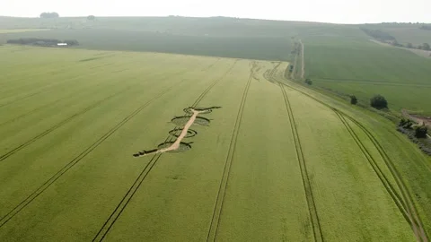 Aerial view orbiting destroyed Winterbourne Bassett crop circle pattern on 스톡 동영상 268289321