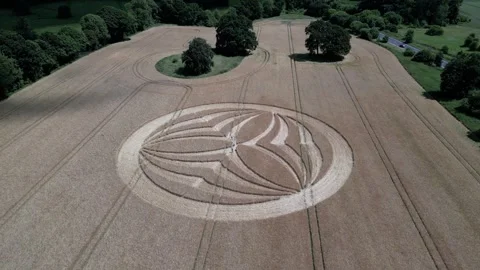 Aerial view orbiting Warminster crops circle 2023 symmetrical paranormal Video stock 246575397