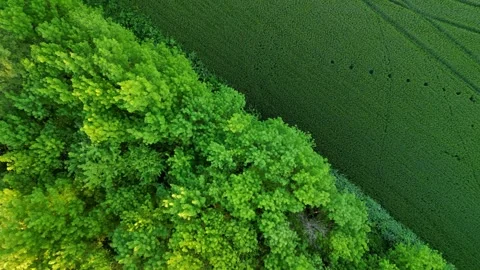 Aerial view over the agricultural fields.  Stock Footage 256034712