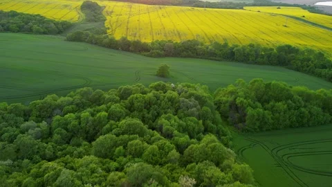 Aerial view over the agricultural fields.  Stock Footage 256034722
