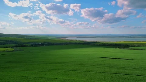 Aerial view over the agricultural fields.  Stock Footage 256034723