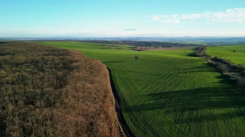 Aerial view over the agricultural fields. Stock Footage 260538367