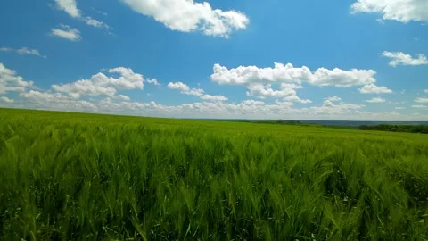 Aerial view over the agricultural fields Video stock 309674449
