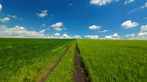 Aerial view over the agricultural fields Stock Footage 309674745