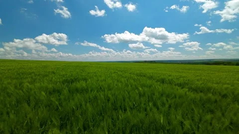 Aerial view over the agricultural fields Stock Footage 309674815