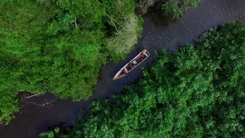 Aerial view over amazon river and native boat crossing the thick and exotic.. Stock-Footage 232635357