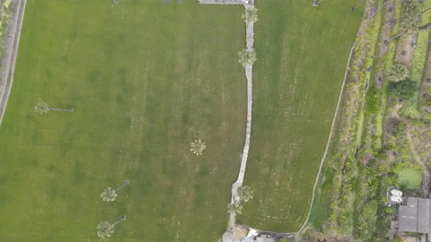 Aerial view over area with some shop and green field with sugar palm tree Stock-Footage 153395243