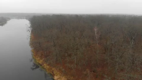 Aerial view over bare branches a leafless tree near a cold water river in late Video stock 137687499