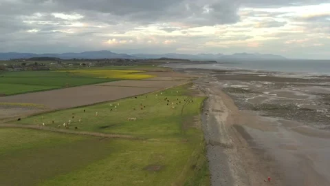 Aerial View over Beach and Fields in Clogherhead , Ireland Stock Footage 236420414