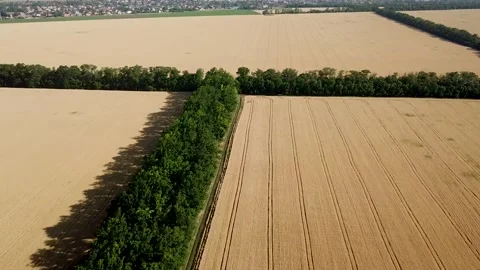 Aerial view over beautiful flat grid farmland and huge fields. Stock Footage 141982259