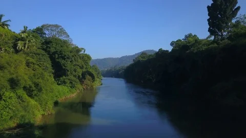 Aerial view over the calm river in jungle Sri Lanka drone footage Stock Footage 85113257