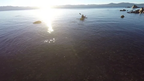 Aerial view over a canoer on Lake Tahoe Video stock 91279853
