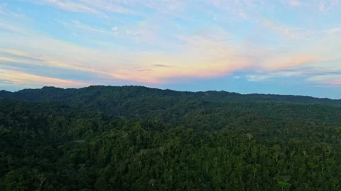 Aerial view over the canopy of the Amazon rainforest, nature background Stock Footage 196233945