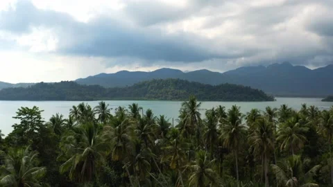 Aerial view over Coconut trees and island. Stock Footage 232907660