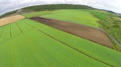 Aerial view over crop fields in Gaspe Peninsula, Quebec, Canada  Video stock 53096542
