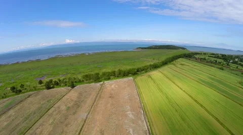 Aerial view over crop fields on St Lawrence River shoreline in Gaspe Peninsula Stockbeeldmateriaal 53097497