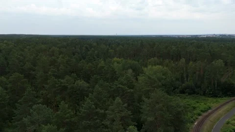 Aerial view over dense pine forest towards distant fields 스톡 동영상 340646724