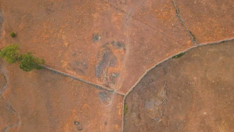 Aerial view over dry dehesa affected by drought in Salamanca, Spain Stock Footage 341887429