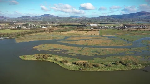 Aerial View Over Dundalk River, County Louth, Ireland Stock Footage 304344998