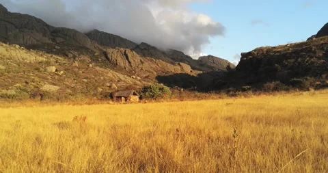 Aerial view over a field at sunset in Madagascar Stock Footage 164721924