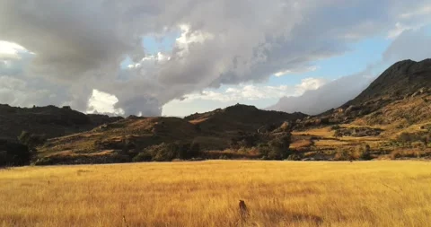 Aerial view over a field at sunset in Madagascar Stock Footage 164721968