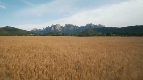 Aerial view over fields getting close to Montserrat mountains Stock Footage 169279867