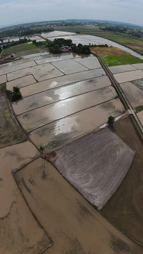 Aerial view over flooded rice paddies Stock Footage 345410040